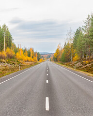 Naklejka premium Road through autumn colored woods in Finland