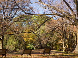 大好きなベンチ