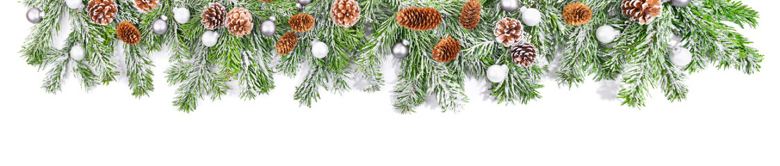 Christmas Fir Branches Banner with Snow isolated on white Background