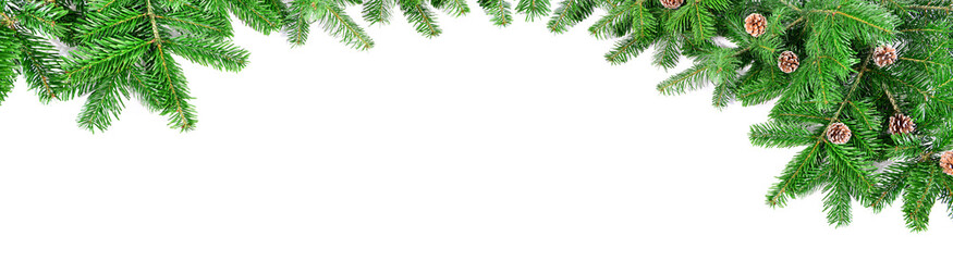 Christmas Fir Branches - Panorama isolated on white Background