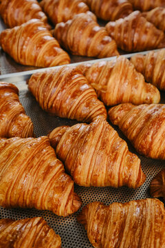 Freshly baked golden French croissants on baking sheet. Fresh classic pastries. Close up . High quality photo