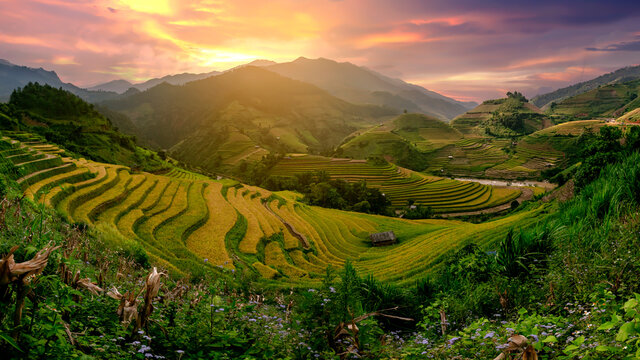 Mu Cang Chai, landscape terraced rice field near Sapa, north Vietnam