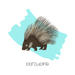 Porcupine in the background with a brushstroke. Vector image of a flat animal. Isolated on white background