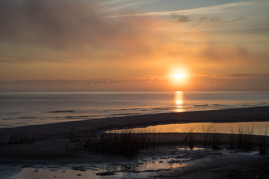 A sunrise scene on the Baltic sea beach with rising sun and a flock of birds flying by in the distance © Marks