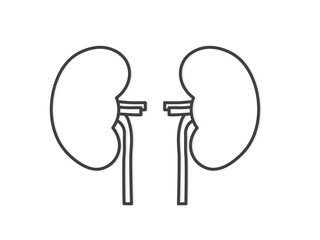 black outline of kidney icon- vector illustration