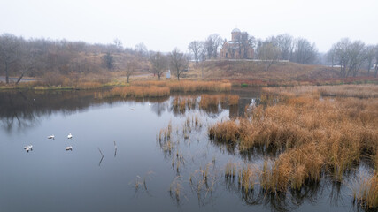 White swans swims on a smooth water surface. Dry reeds grow around. Old church on background. View from above