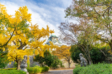 Fototapeta premium 大阪城天守閣と秋の紅葉（イチョウの木）