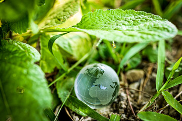 Earth day and world environment day. Green planet concept. World globe crystal glass surrounding by green leaf.