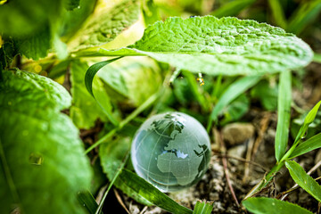 Earth day and world environment day. Green planet concept. World globe crystal glass surrounding by...