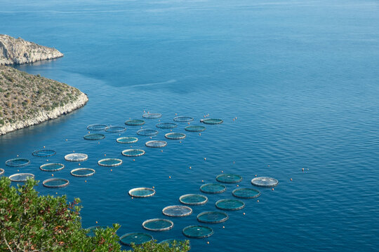 Fish farm, sea agriculture.Cages in Aegean sea, Peloponnesus,Greece, Europe.View from top.Copy space