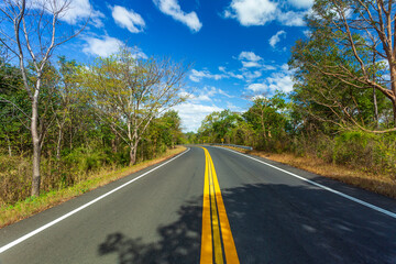 Rural asphalt road among the fields in summer season 