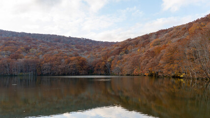 autumn in the mountains