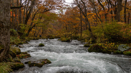 waterfall in autumn