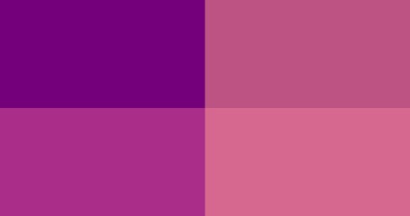 Fototapeta premium Color trend 2022: Calming coral, Velvet Violet, Pacific Pink