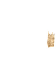 Obraz premium Brush Strokes on White Background for Graphic Elements, Digital Painting and Design