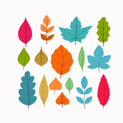 Autumn Leaves Collection Flat Vector