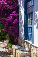 Fototapeta na wymiar white building a with blue widow and door, with south exotic flowers in sunny day