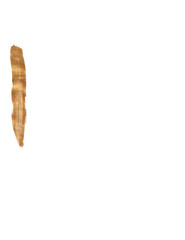 Brush Strokes on White Background for Graphic Elements, Digital Painting and Design