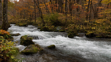 waterfall in autumn
