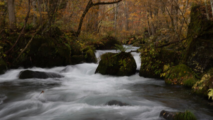 waterfall in the forest