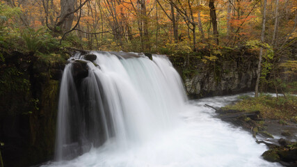 waterfall in autumn