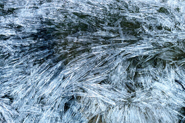 ice needles from spring ice on a pond. background from ice needles