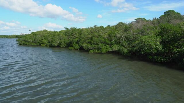 Green treeline on Florida inner coastal on west coast; view of water treeline and blue sky with white clouds