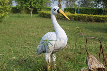 Heron Full HD Image 