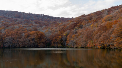 Fototapeta premium autumn in the mountains