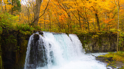 waterfall in autumn