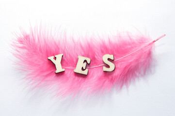 The inscription is yes on a pink background. Pink feather and wooden letters.