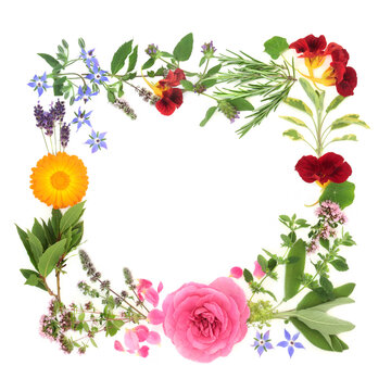 Herb and flower wreath for natural healing plant medicine remedies, seasoning and food decoration. Herbal health care concept on white background. Flat lay, top view, copy space.