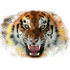 Tiger on fire symbol of the year