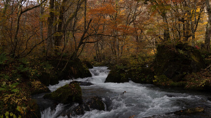 waterfall in autumn