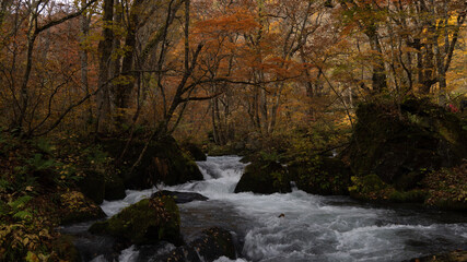 Obraz premium mountain stream in winter