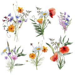 watercolor wild flowers bouquets, Spring floral Set on white background, Hand drawn Floral Bundle, Wild flowers bouquet, Summer Herbal Arrangements