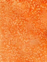Bright watercolor textured orange background with small specks. Salt Effects