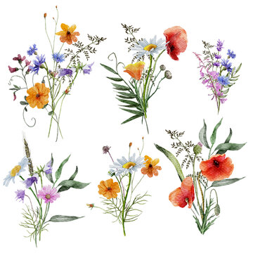 watercolor wild flowers bouquets, Spring floral Set on white background, Hand drawn Floral Bundle, Wild flowers bouquet, Summer Herbal Arrangements