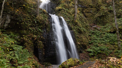 waterfall in the forest