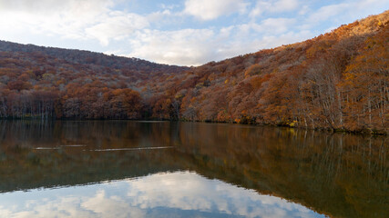 lake in autumn
