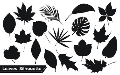Collection of Different types of Leaves silhouettes