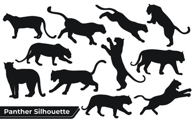 Collection of animal Panther in different positions