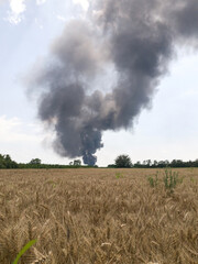 Fototapeta na wymiar Big fire with smoke in rural countryside landscape.