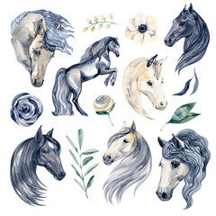 Black and white horses and flowers. watercolor illustration on white background. Magic fantasy cartoon design