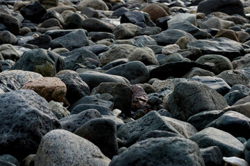 Rocky beach in the Pacific Northwest