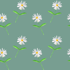 pattern with camomiles