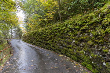 Empty one lane road with an old world hand-made stone wall covered with green moss.