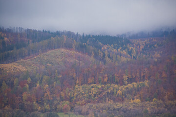 góry porośnięte lasem w kolorach jesieni, mgła