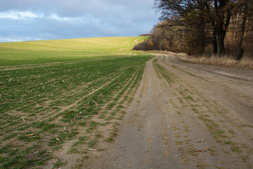 Fototapeta na wymiar polna droga prowadząca na wzgórze