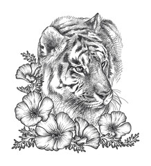 Hand-drawn sketch of Siberian or Amur tiger head and flowers in black isolated on white background. 